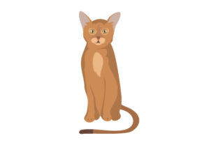 Abyssinian Cat Embroidery Design Review