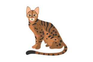 Begal Cat Embroidery Design Review