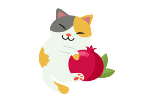 Cat Hugging Pomegranate Embroidery Design Review