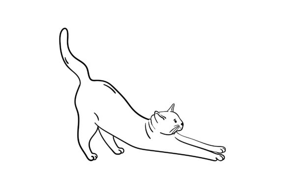 Cat Stretch Embroidery Design Review