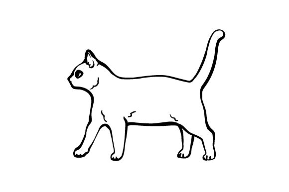 Cat Walking Embroidery Design Review
