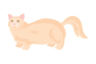 Munchkin Cat Embroidery Design Review