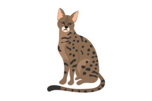 Savannah Cat Embroidery Design Review