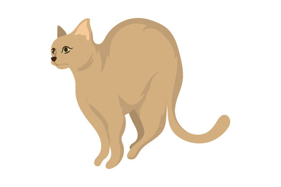 Scared Cat Embroidery Design Review
