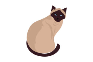 Siamese Cat Embroidery Design Review