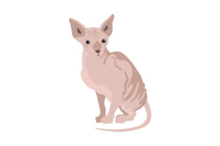 Sphynx Cat Embroidery Design Review
